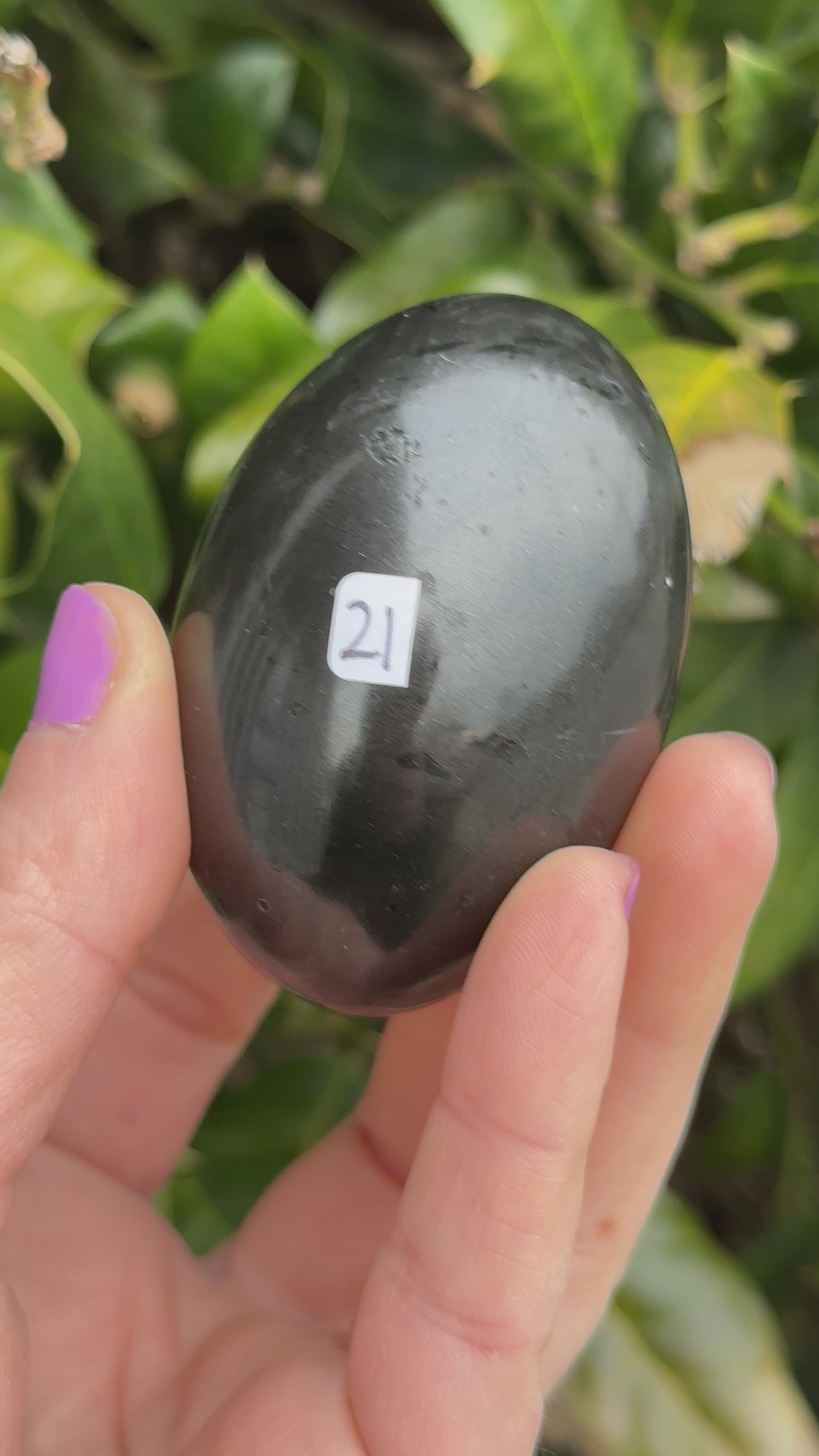 Black Tourmaline Shegg-va