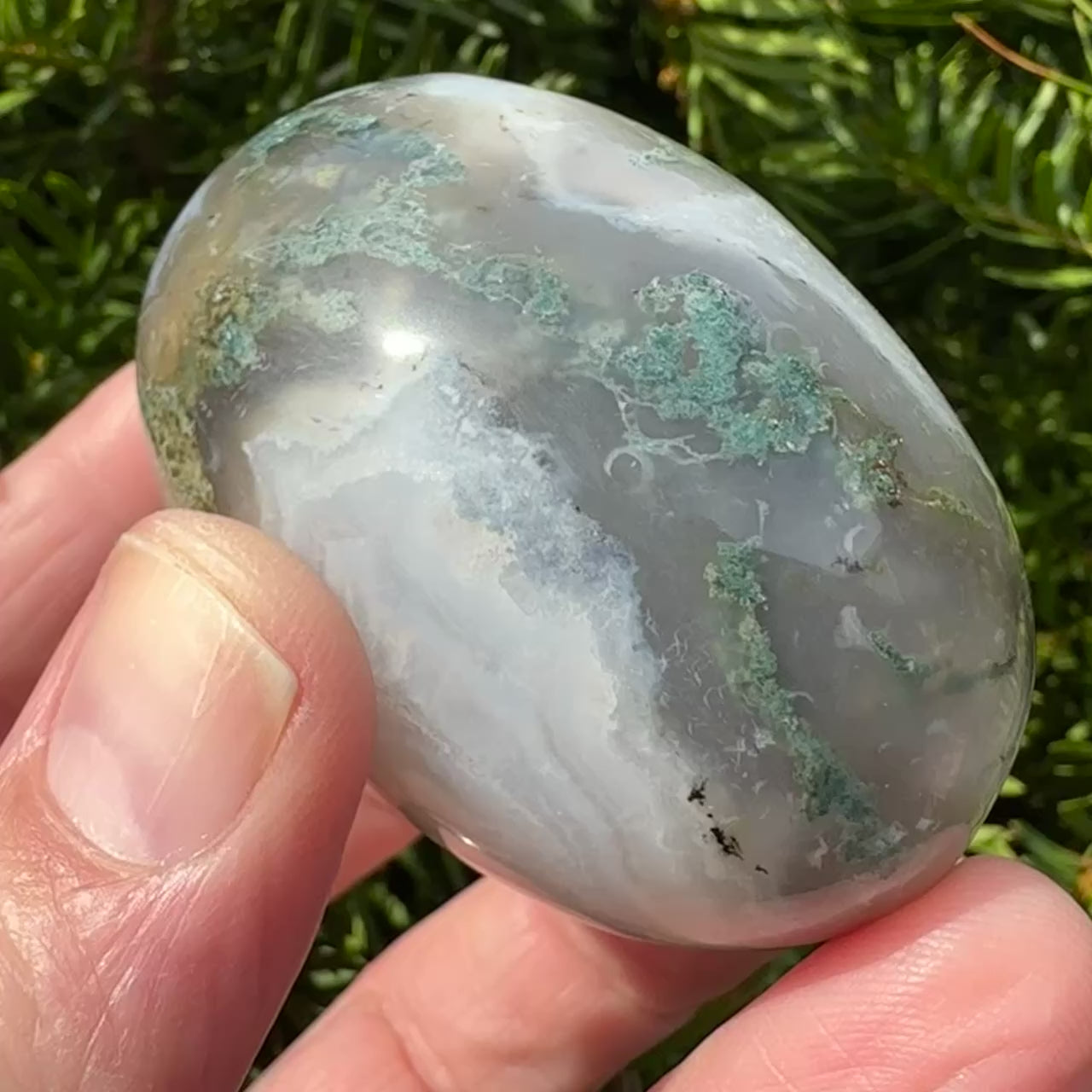 Moss Agate Shegg-va