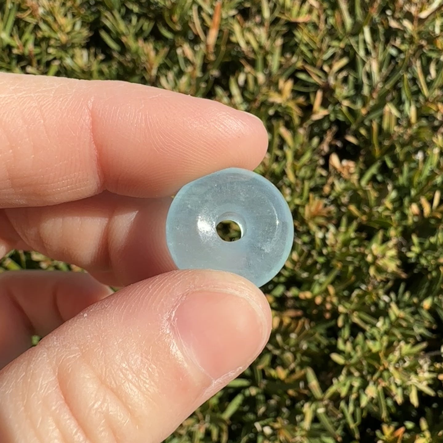 Aquamarine Donut
