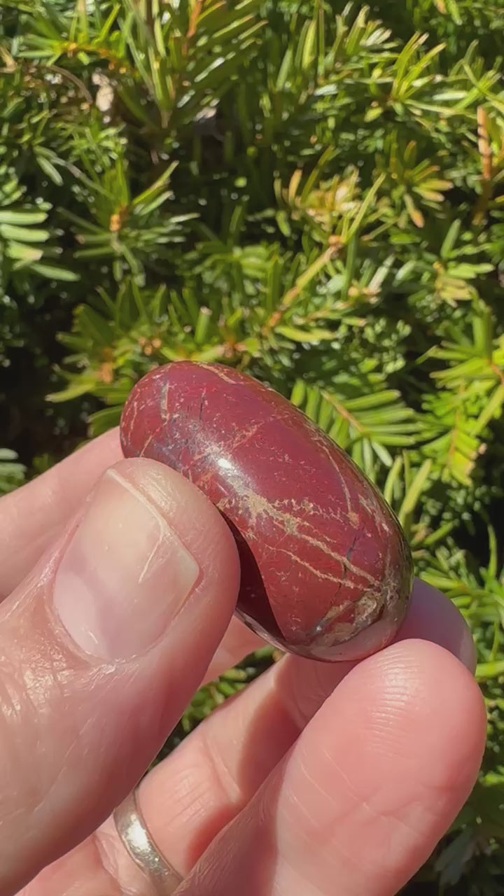 Red Jasper Shiva