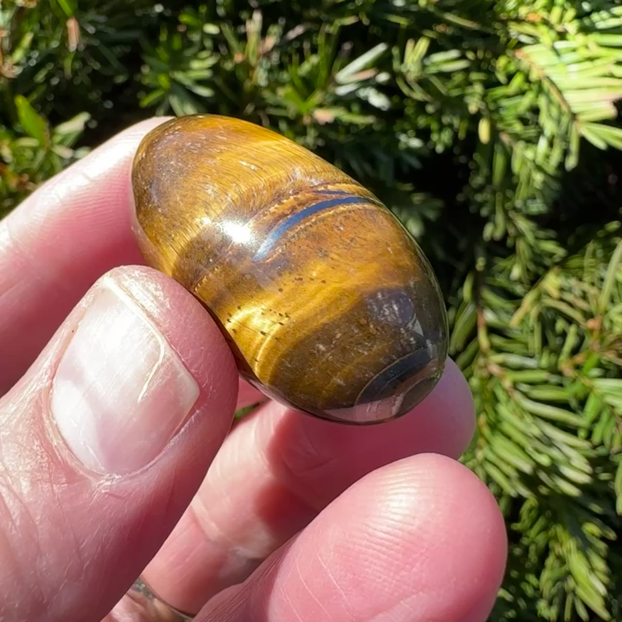 Tiger's Eye Shiva