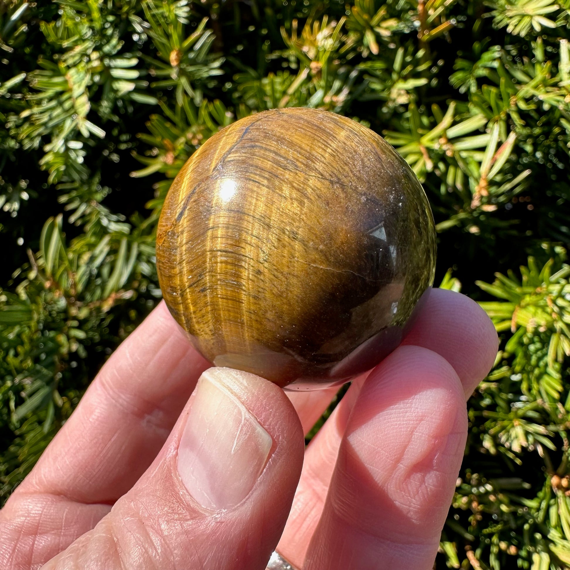 Tiger's Eye Sphere