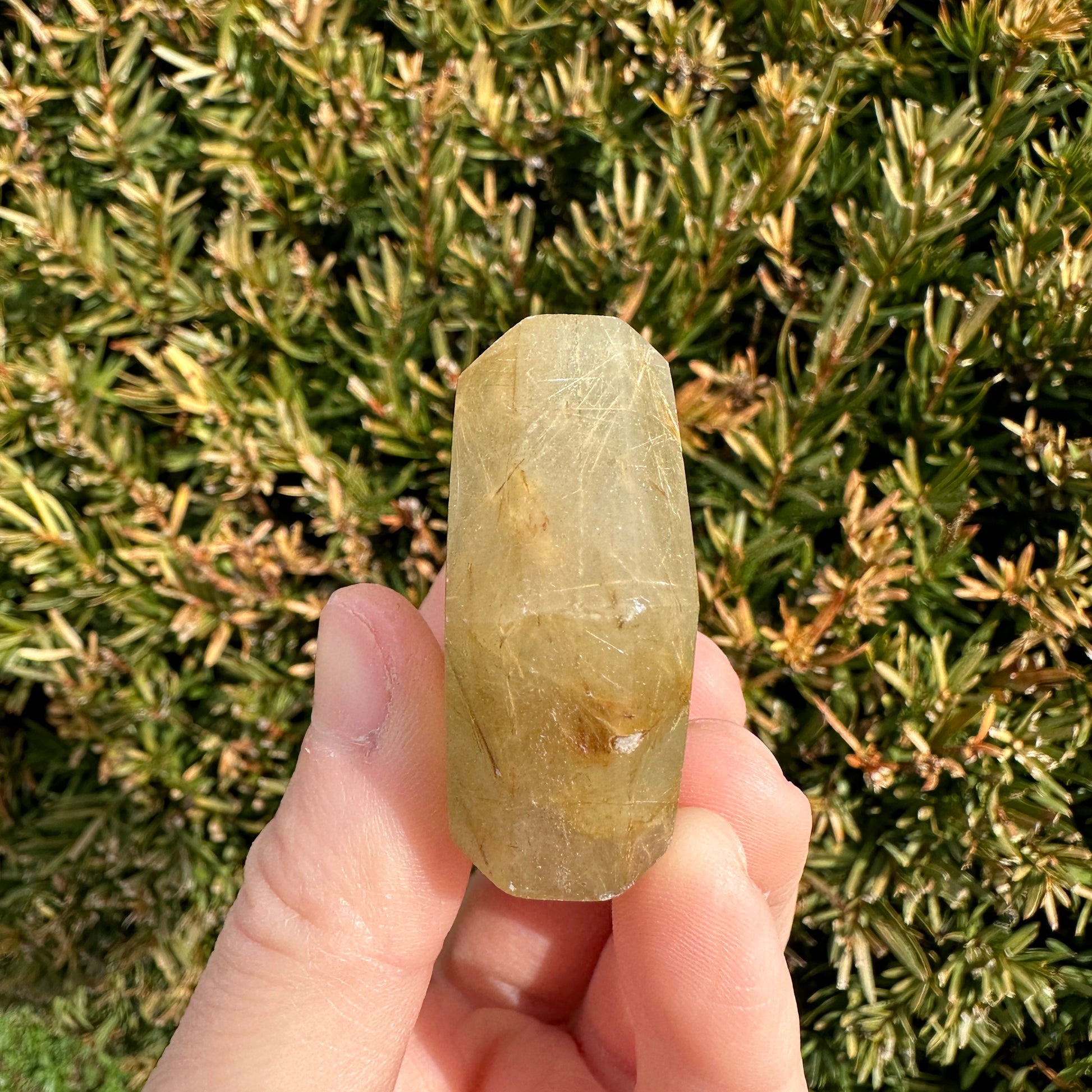 Gold Rutile Quartz Hexagon