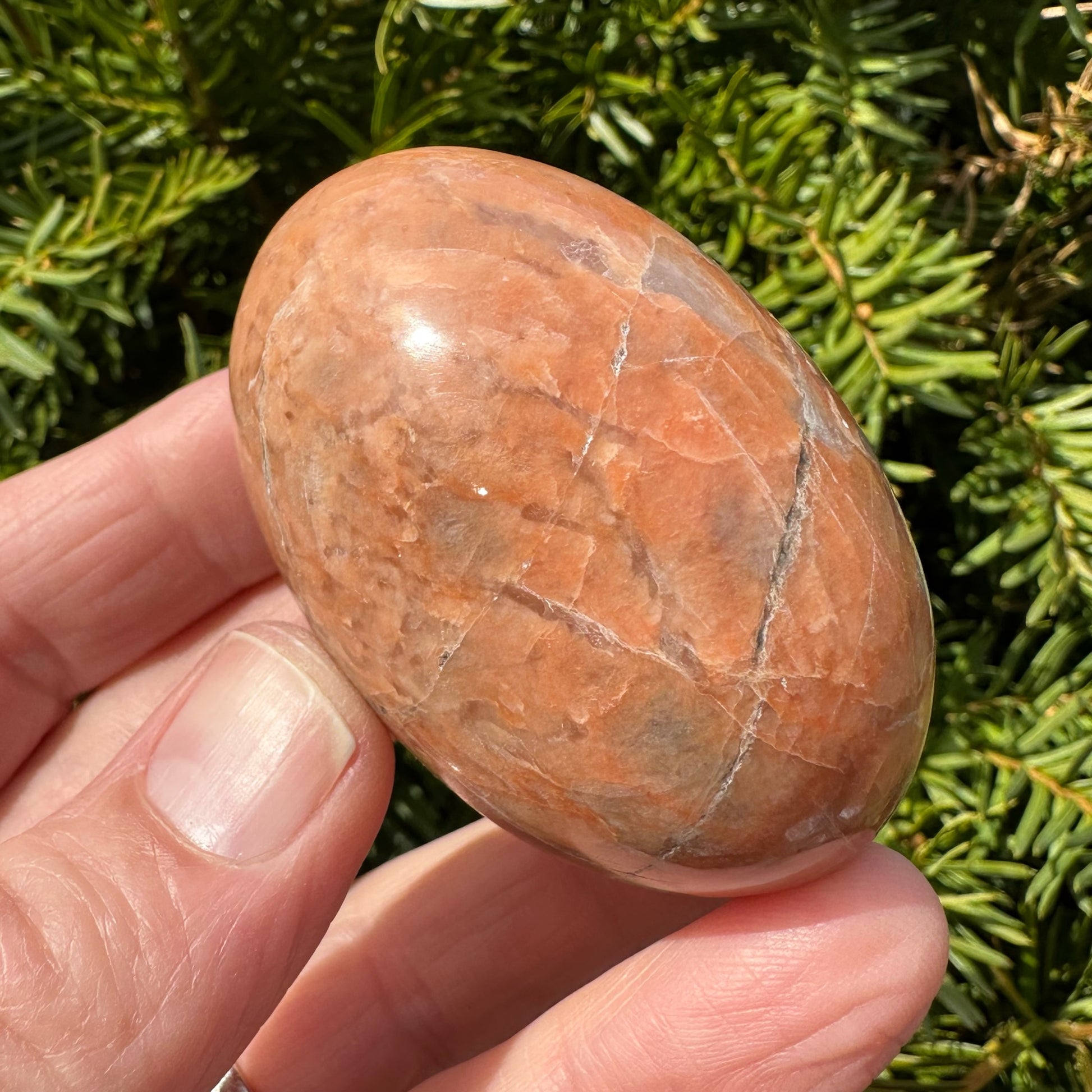 Peach Moonstone Shegg-va