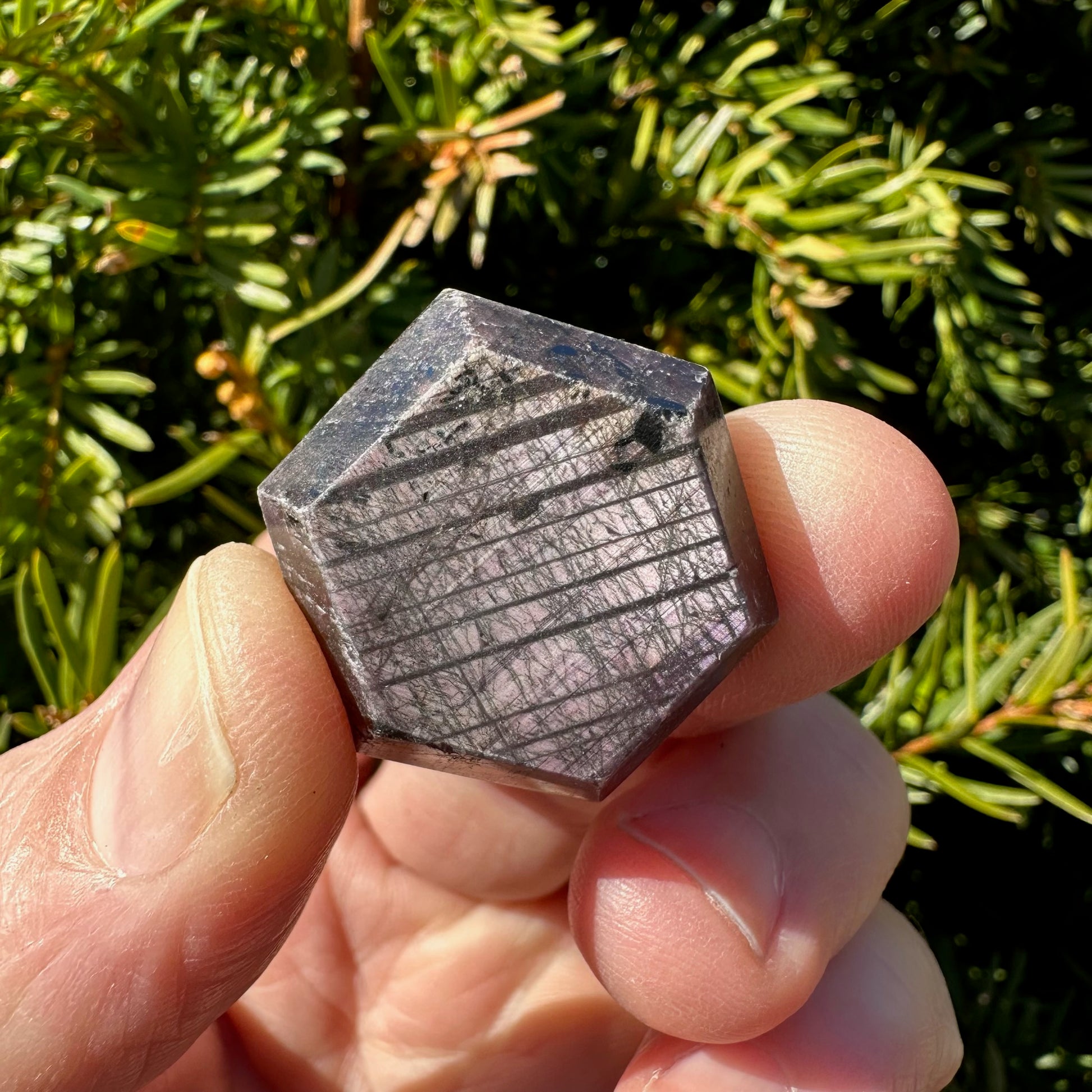 Ruby Hexagon