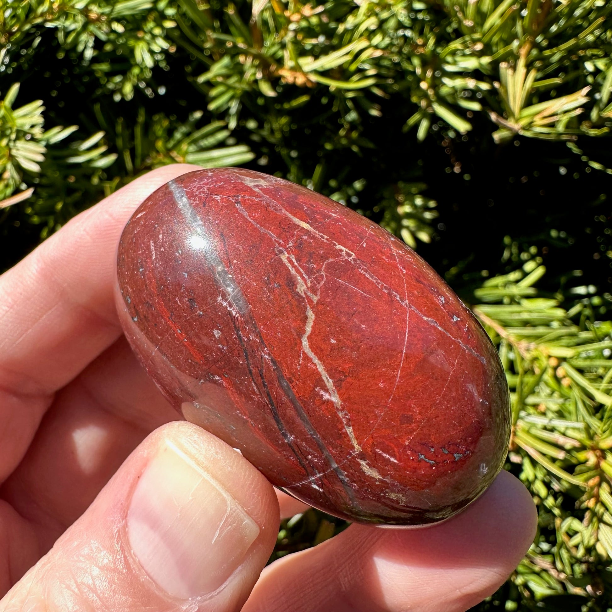 Red Jasper Shegg-va
