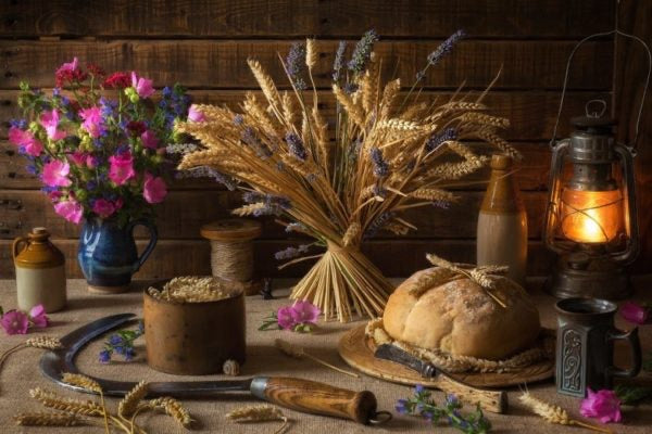 Lughnasadh Festival