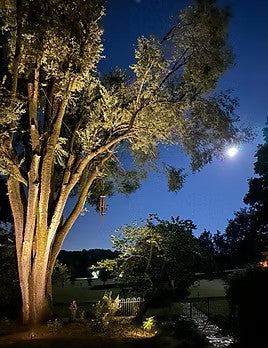 Full Moon Offering Fire