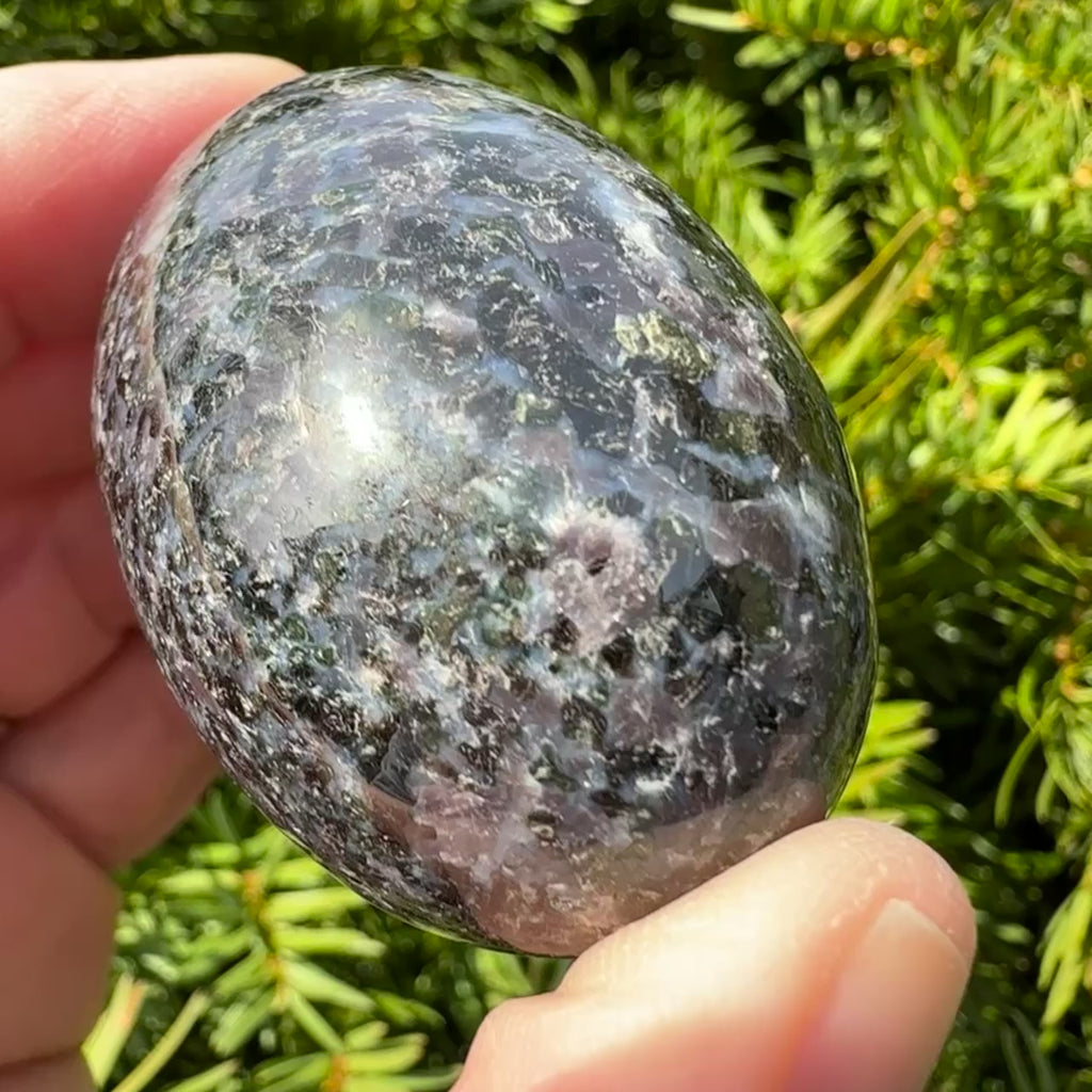 Indigo Gabbro (Merlinite) Shegg-va