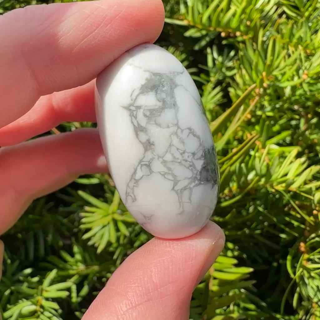 Howlite Shiva
