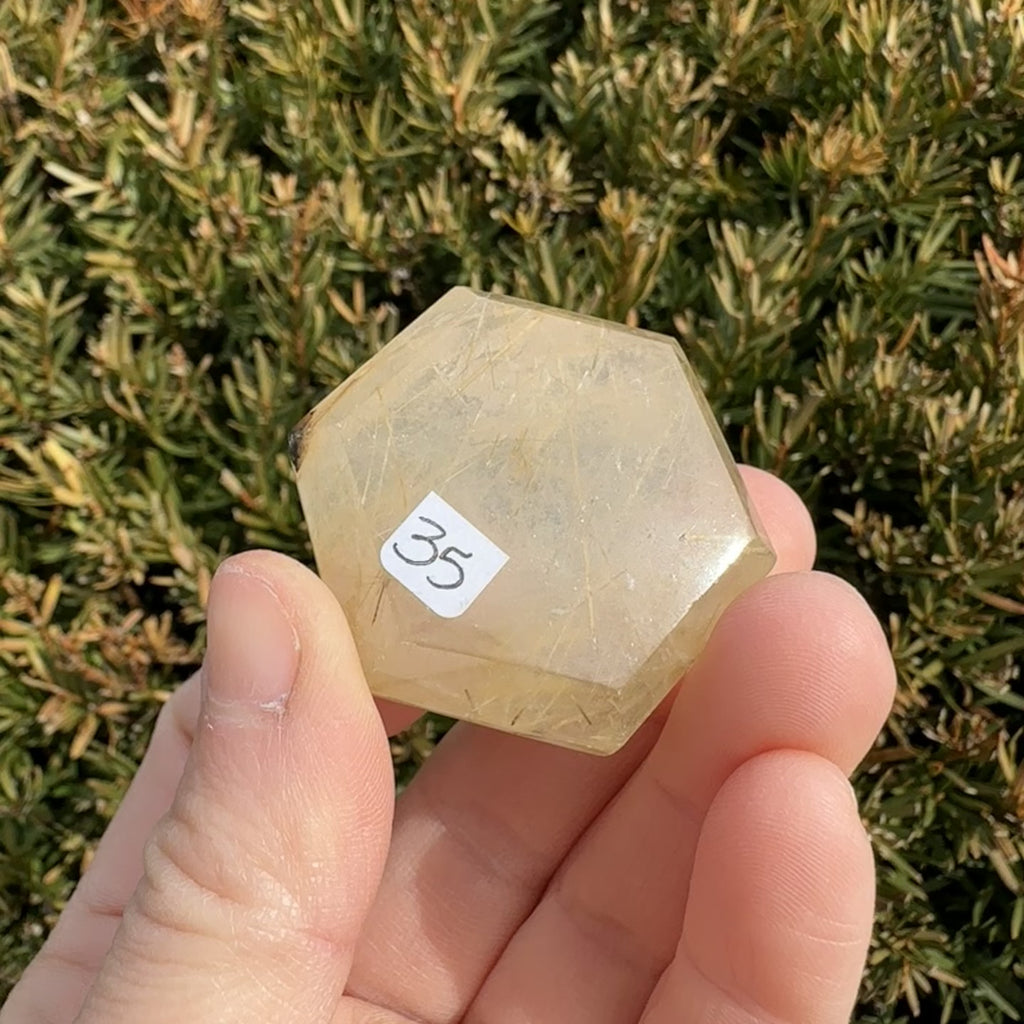 Gold Rutile Quartz Hexagon