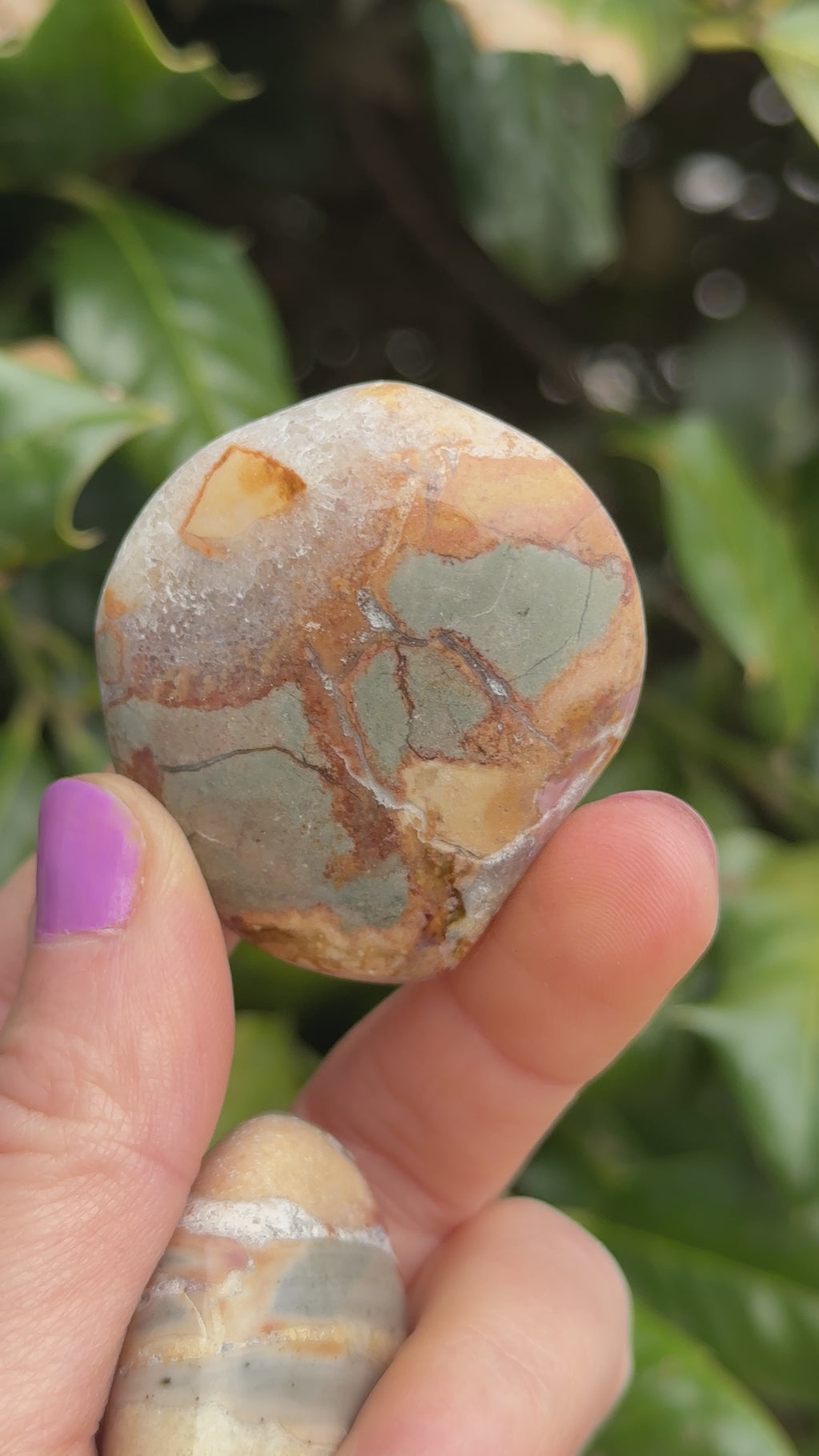 Ibis Jasper Palm Stone