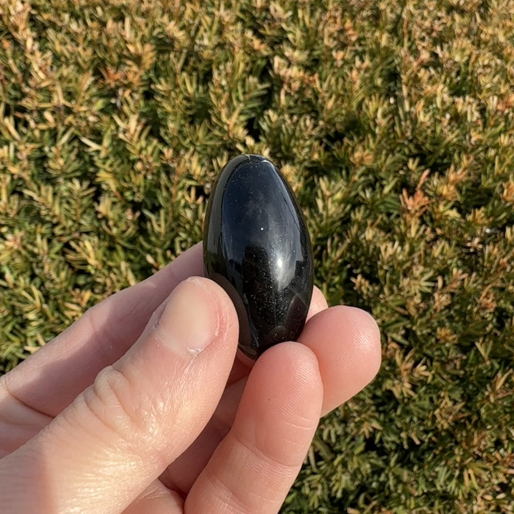 Black Obsidian Shiva