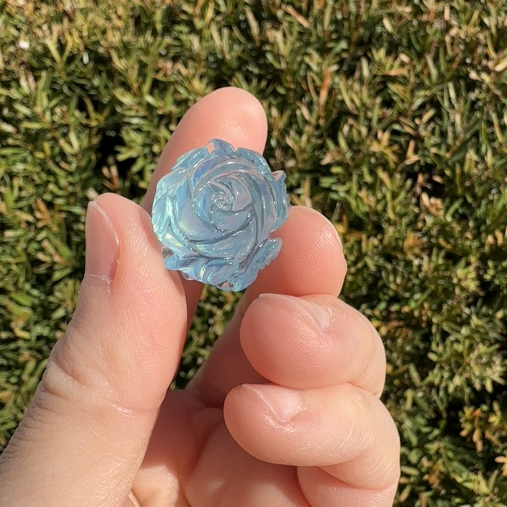 Aquamarine Rose