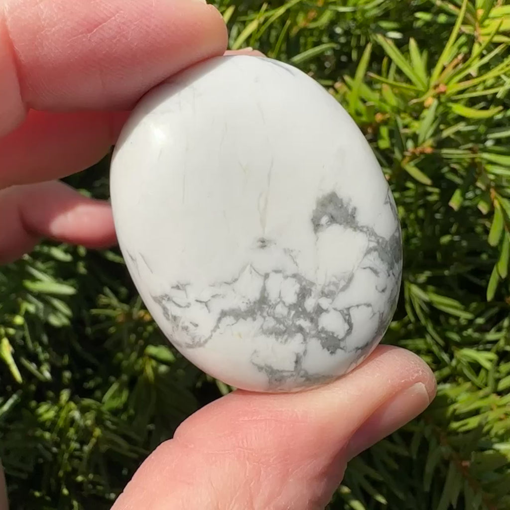 Howlite Palm Stone