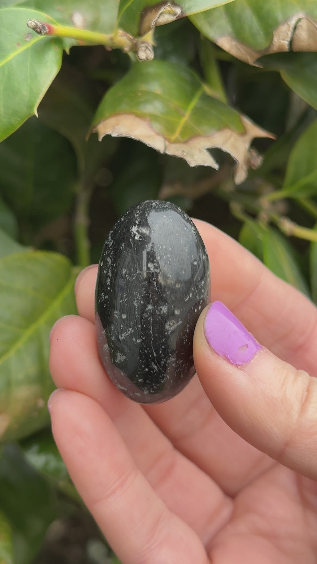Black Tourmaline Shiva