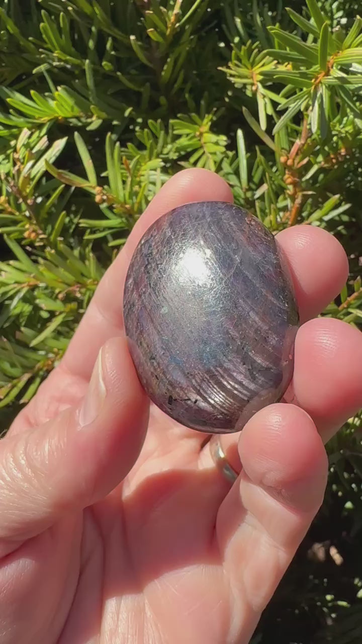 Ruby Palm Stone