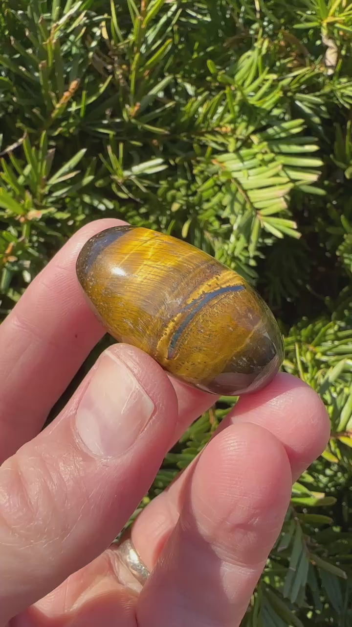 Tiger's Eye Shiva
