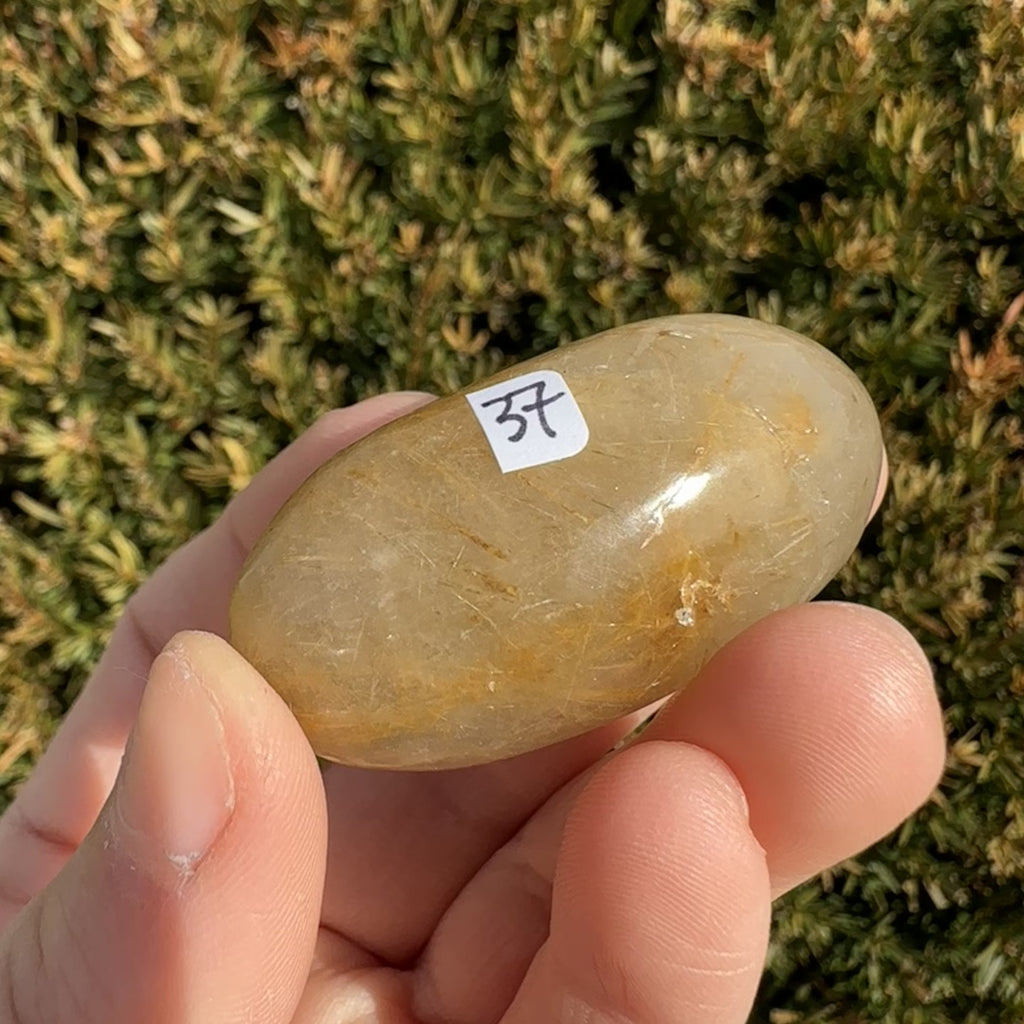 Gold Rutile Quartz Shiva