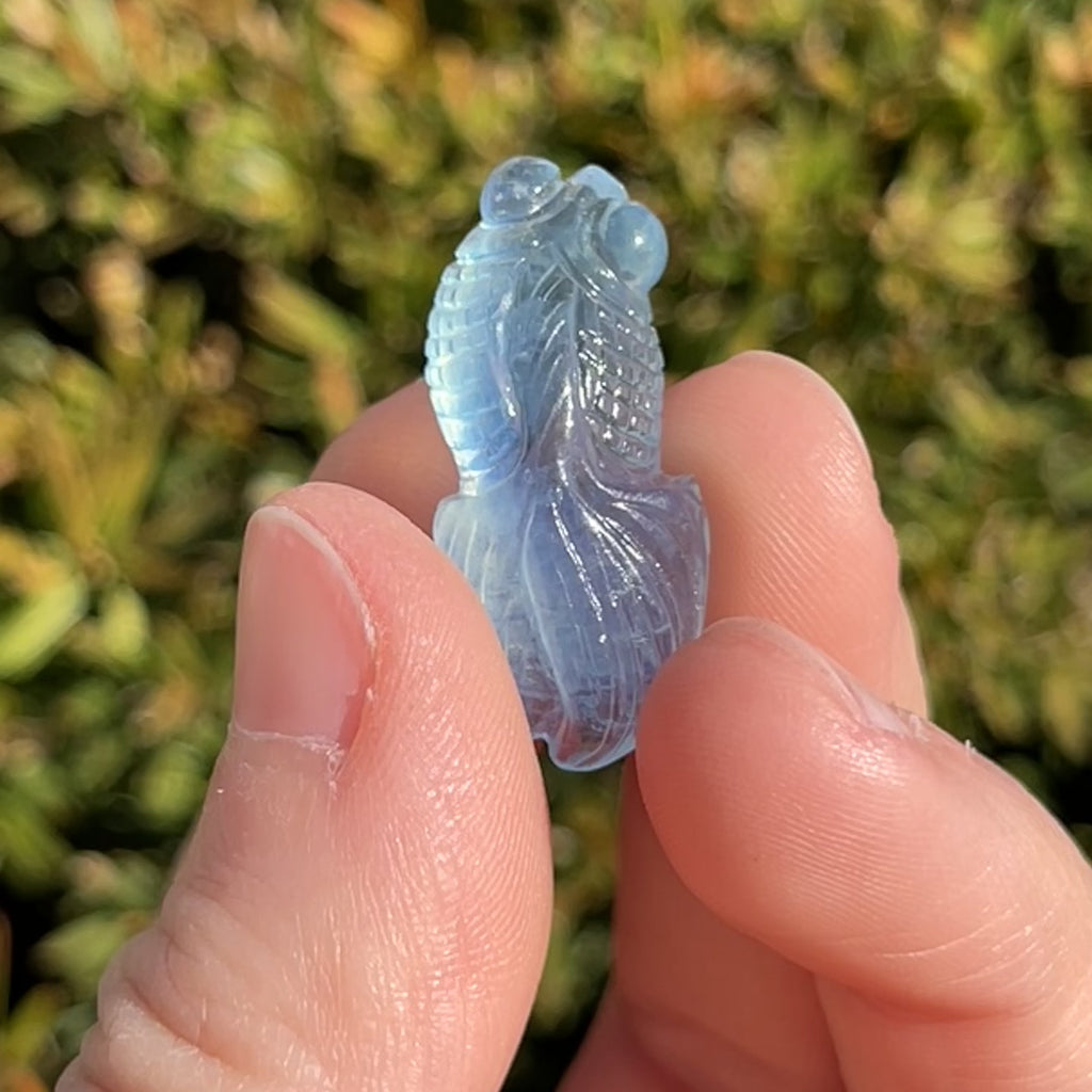 Aquamarine Fish
