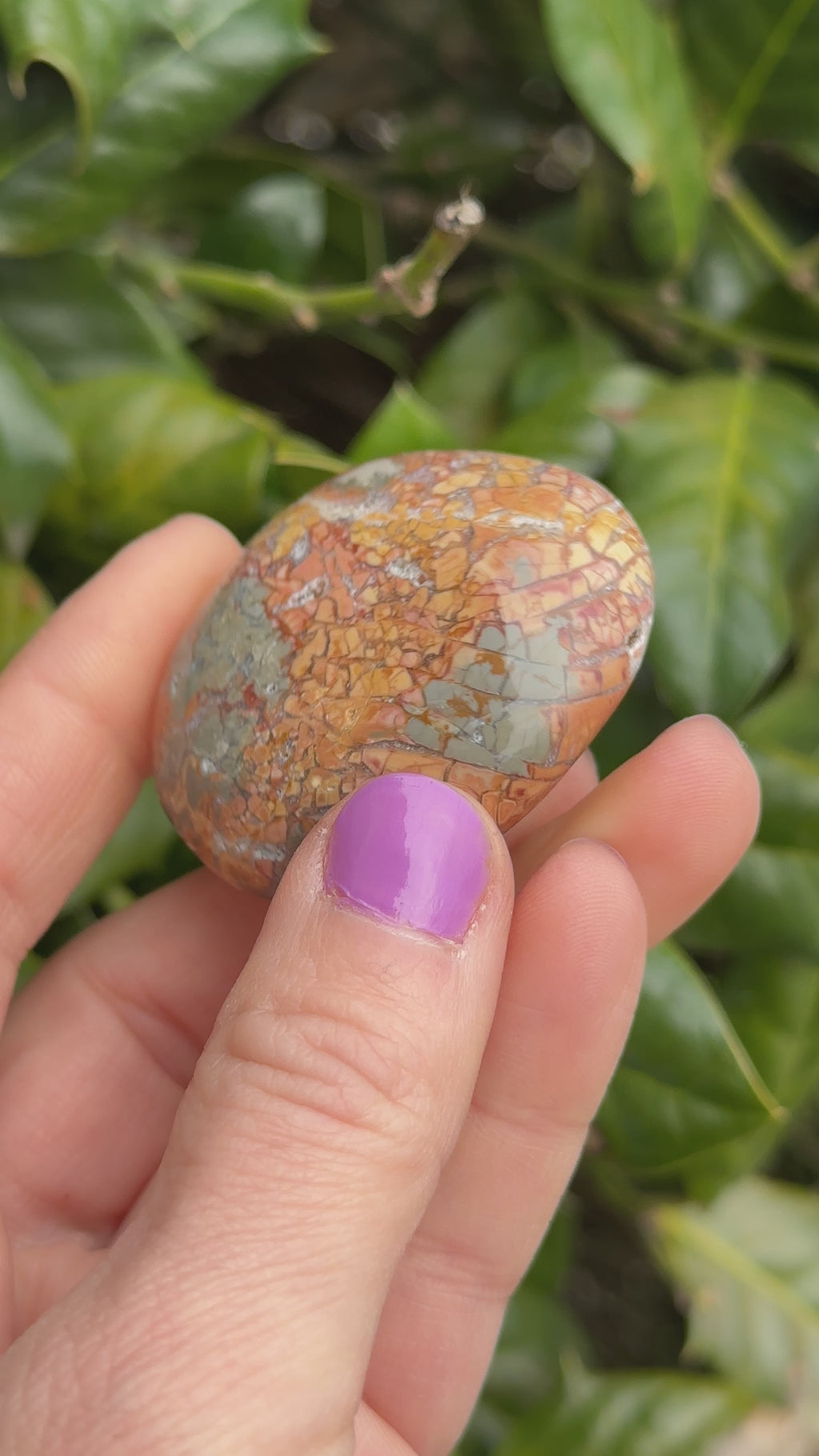Ibis Jasper Palm Stone