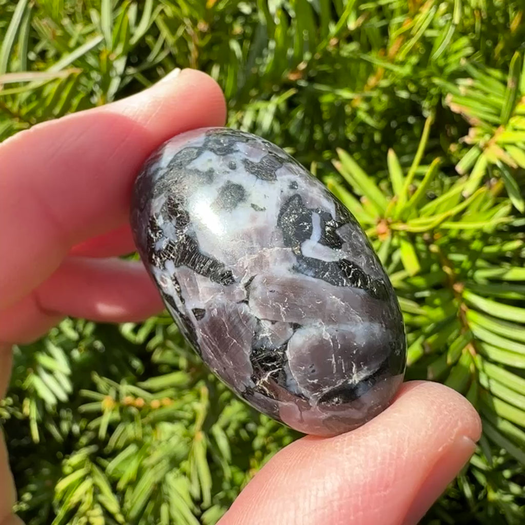 Indigo Gabbro (Merlinite) Shiva