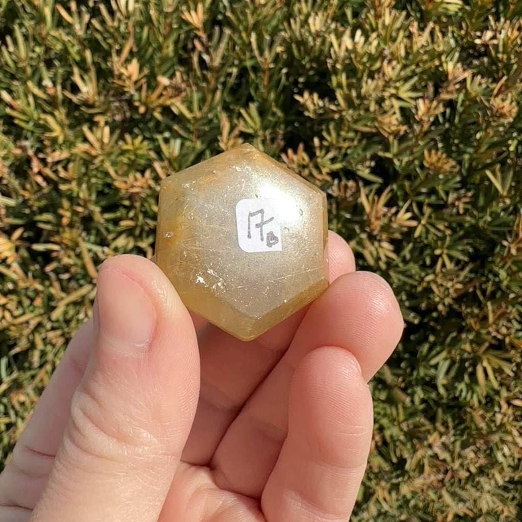 Gold Rutile Quartz Hexagon