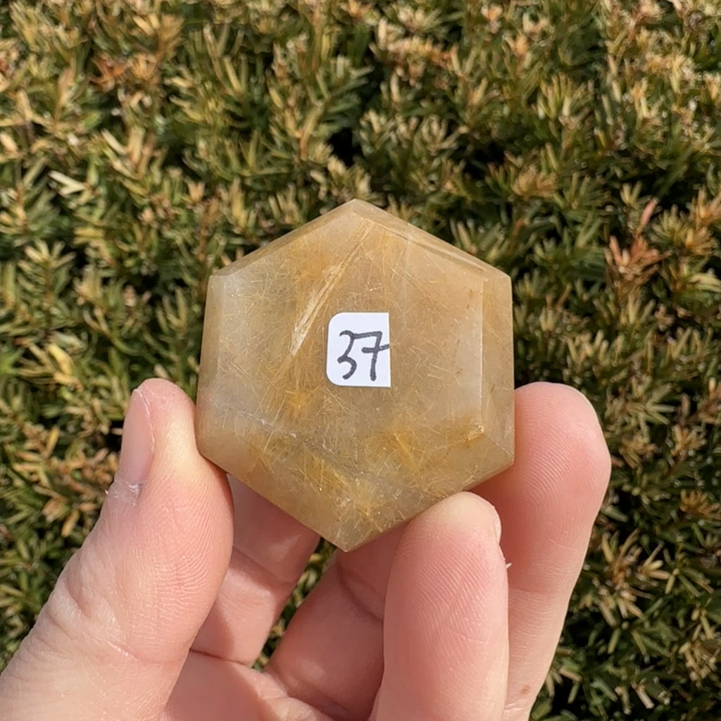 Gold Rutile Quartz Hexagon