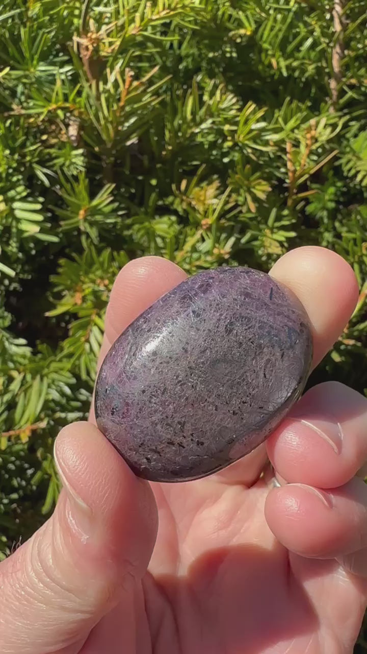 Ruby Palm Stone