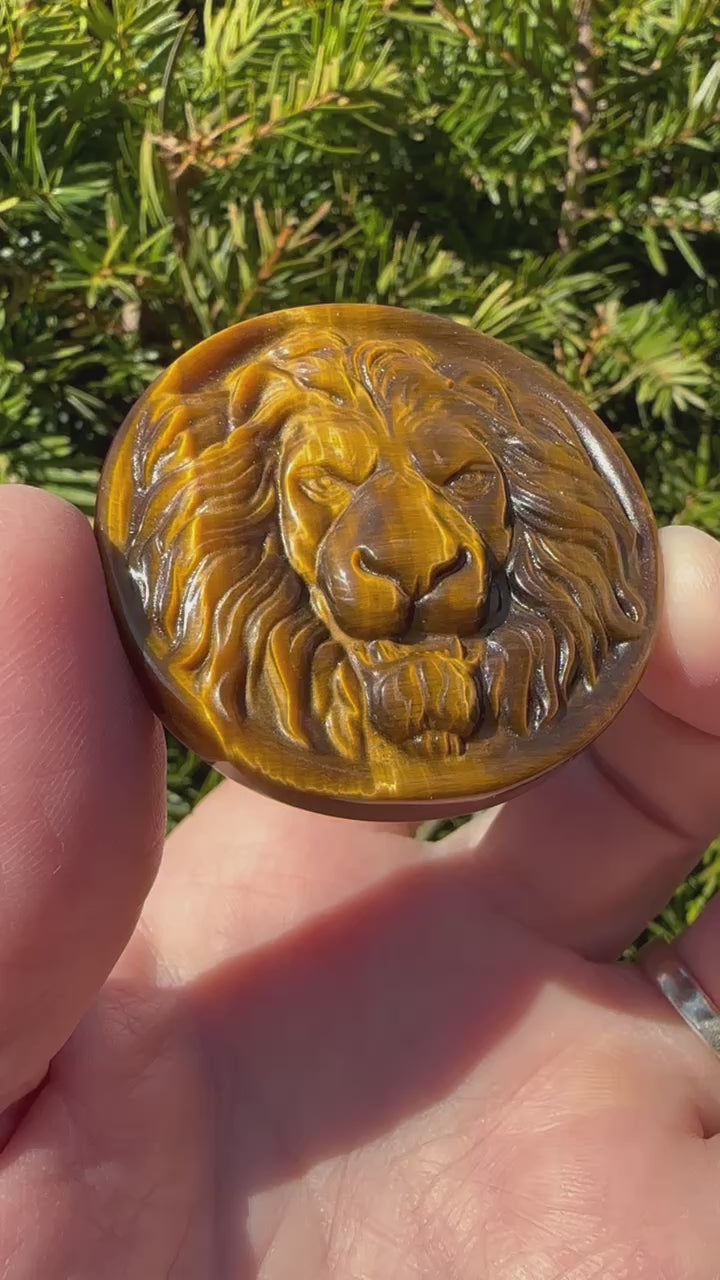 Tiger's Eye Lion Medallion
