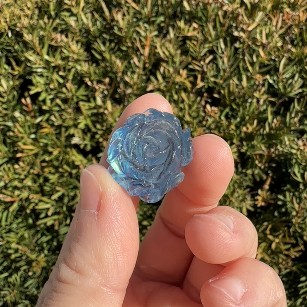 Aquamarine Rose