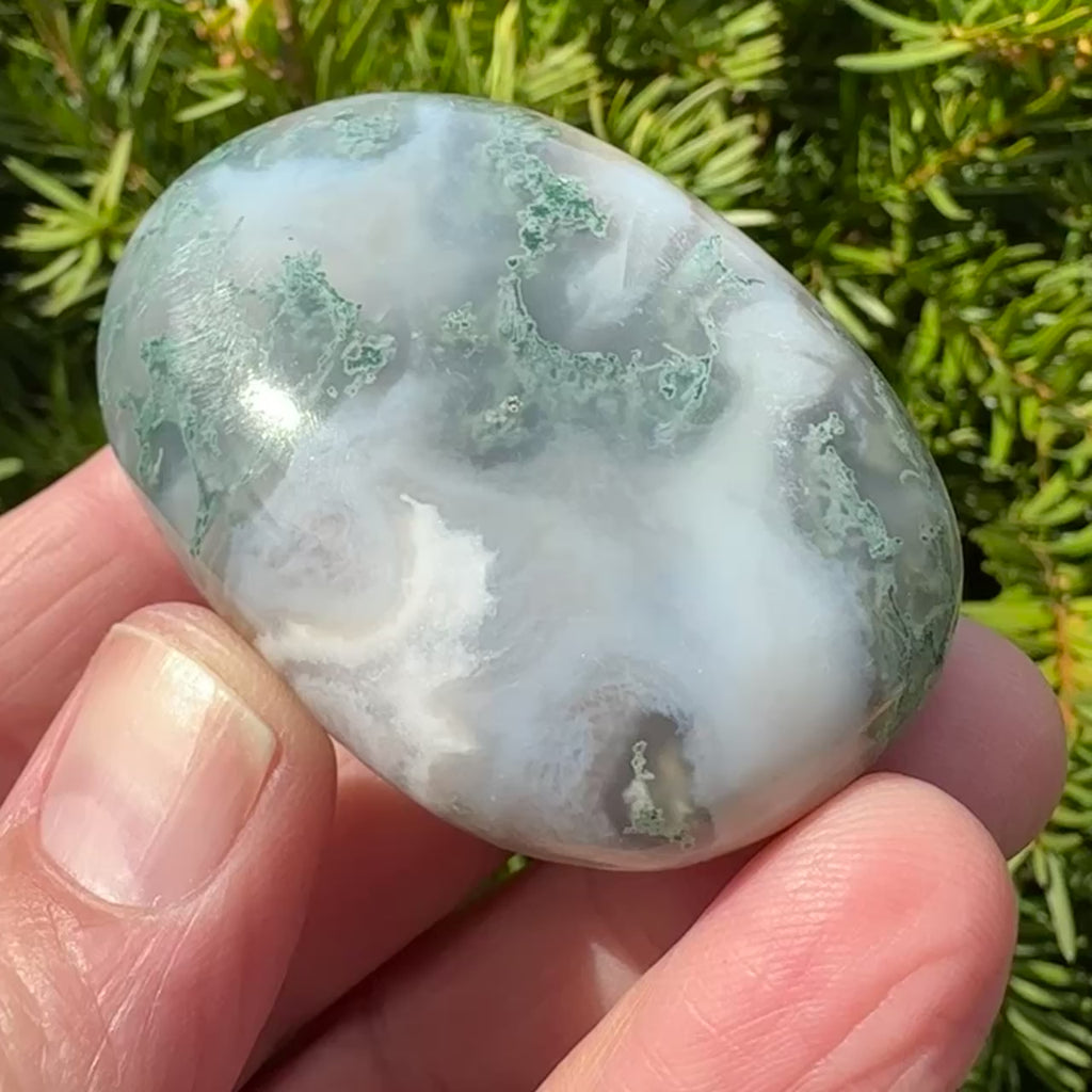 Moss Agate Palm Stone