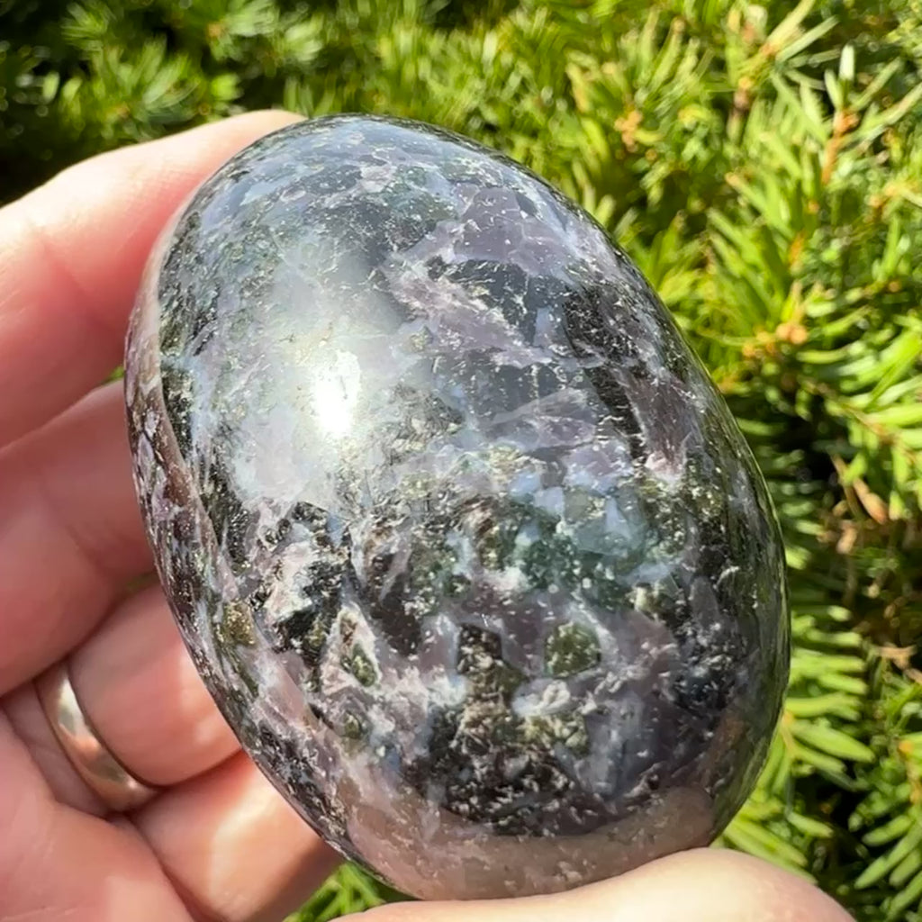 Indigo Gabbro (Merlinite) Shegg-va