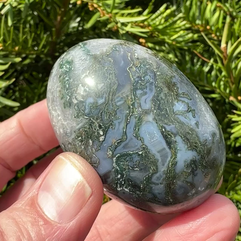 Moss Agate Shegg-va