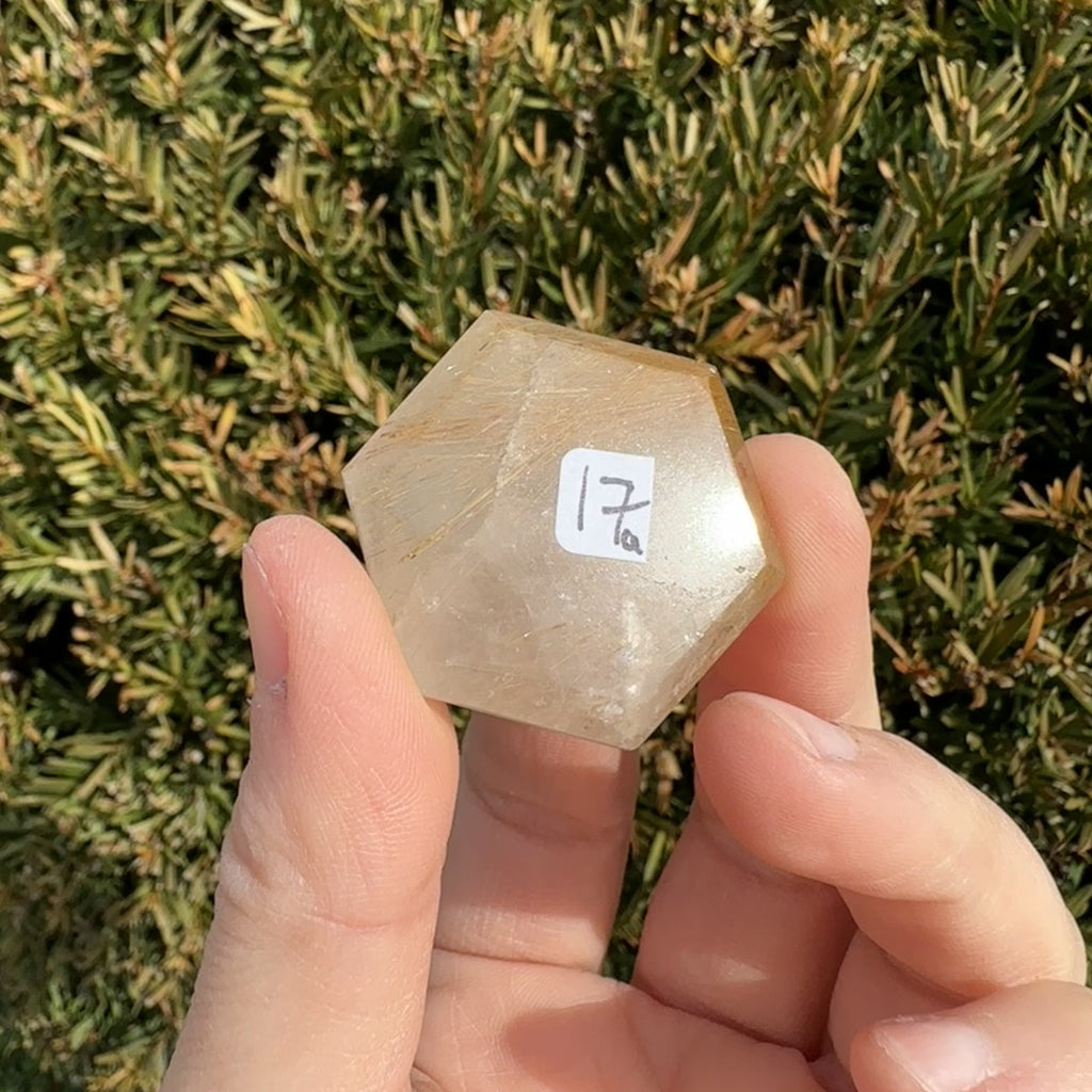 Gold Rutile Quartz Hexagon