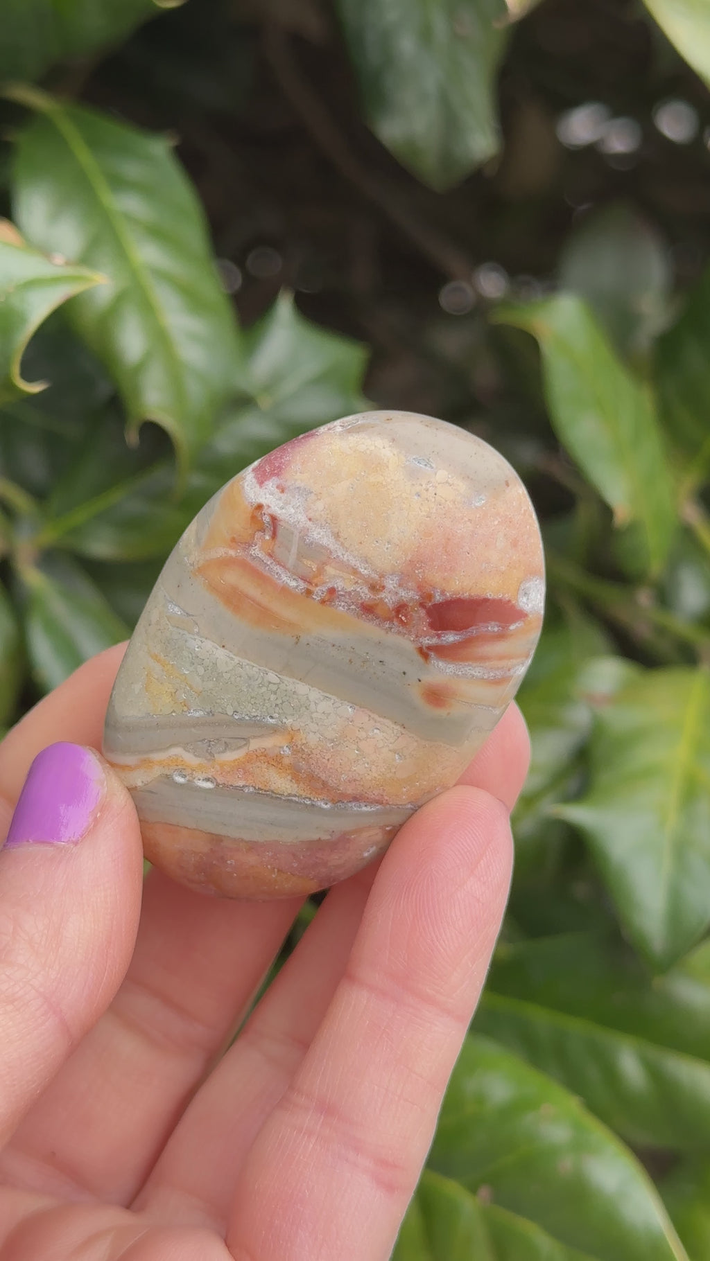 Ibis Jasper Palm Stone