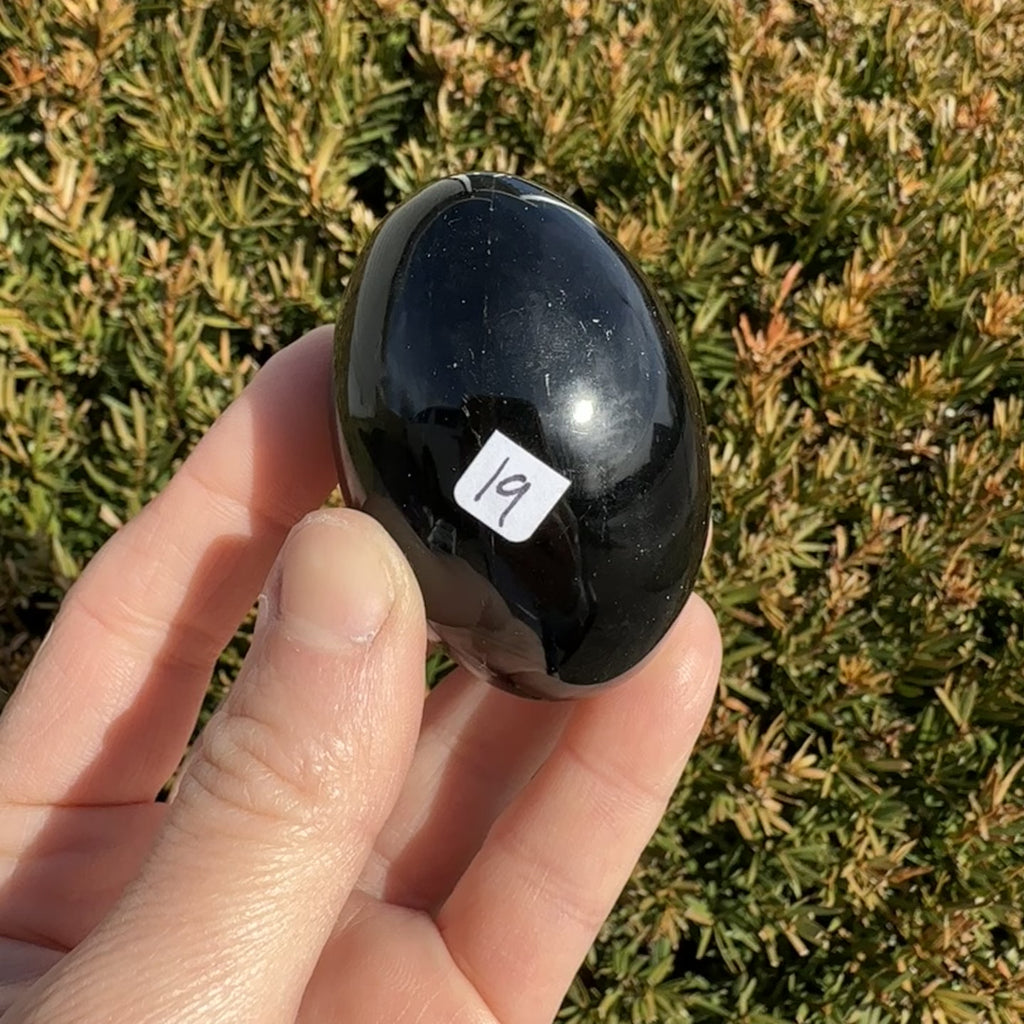 Black Obsidian Shegg-va