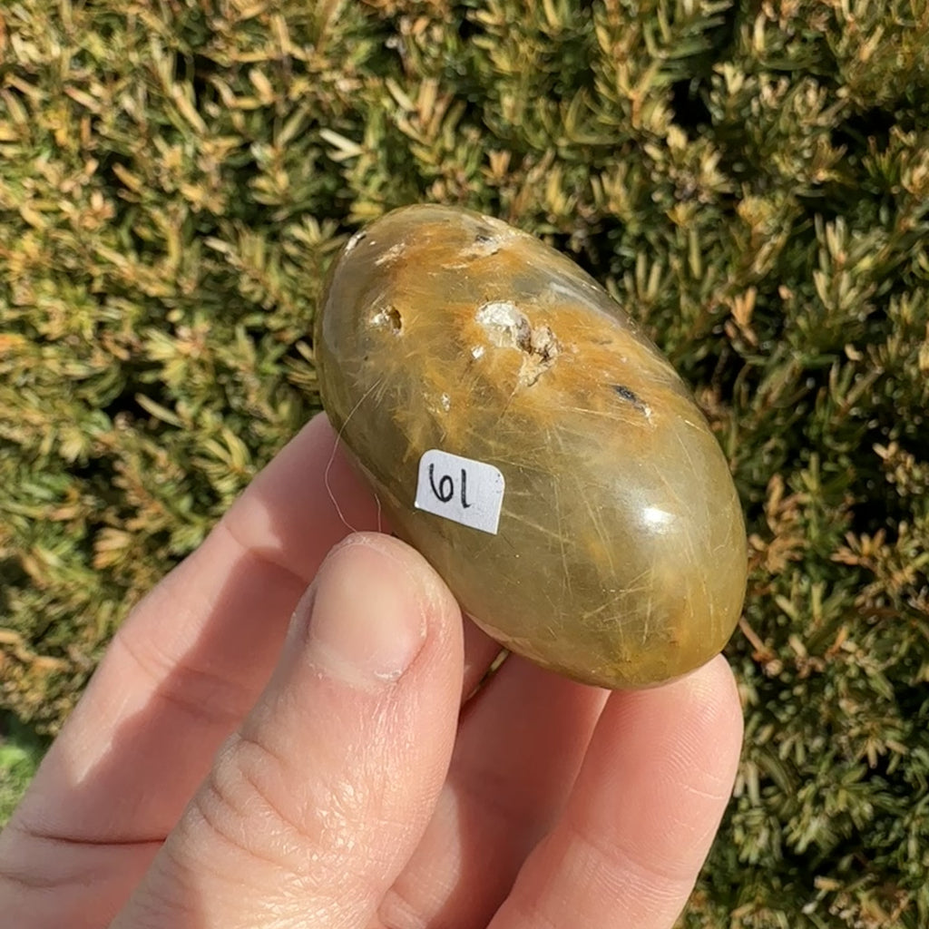 Gold Rutile Quartz Shiva