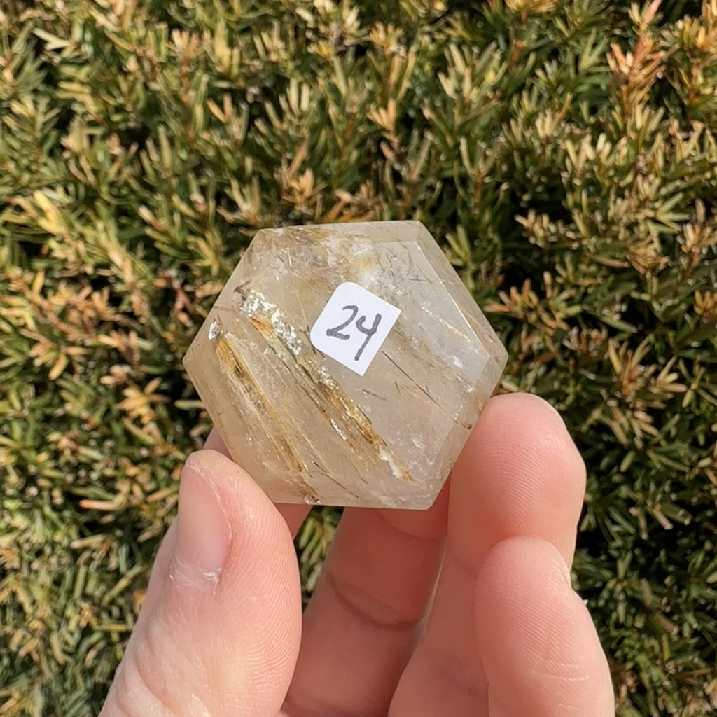 Gold Rutile Quartz Hexagon