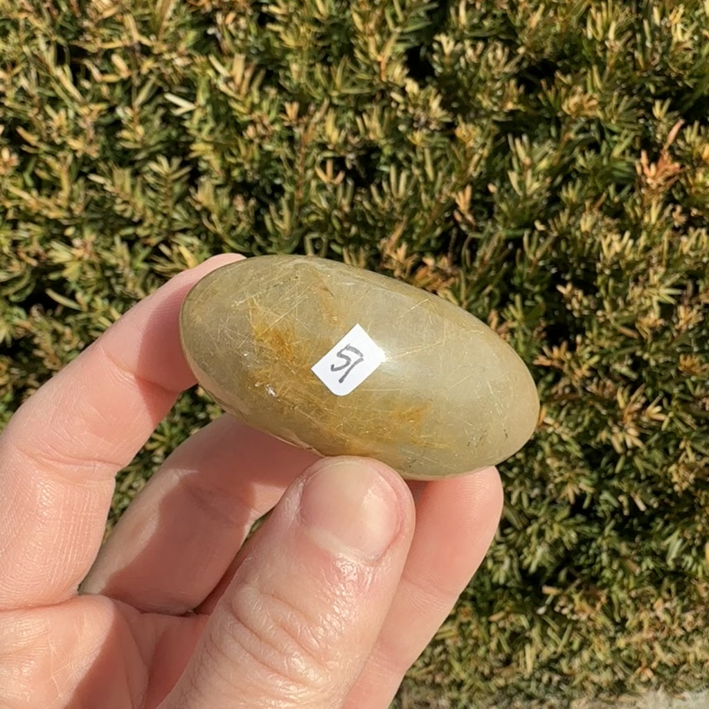 Gold Rutile Quartz Shiva