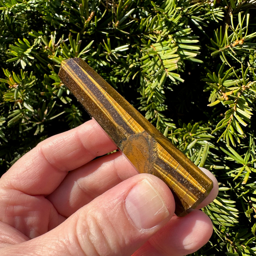 Tiger's Eye Tower