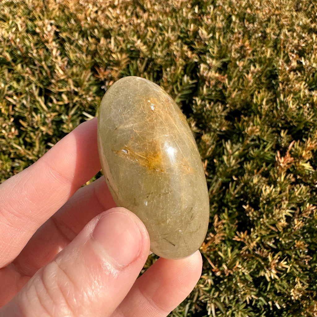 Gold Rutile Quartz Shiva