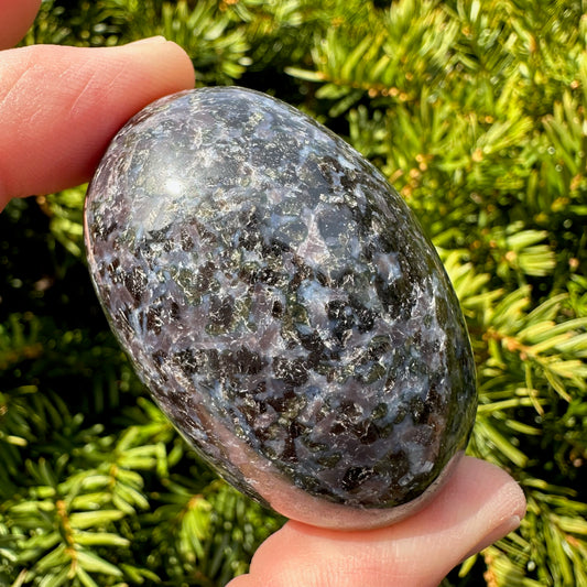 Indigo Gabbro (Merlinite) Shegg-va