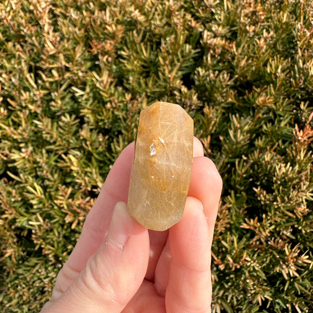 Gold Rutile Quartz Hexagon