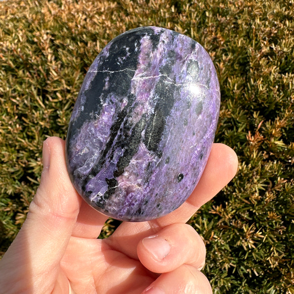 Charoite Palm