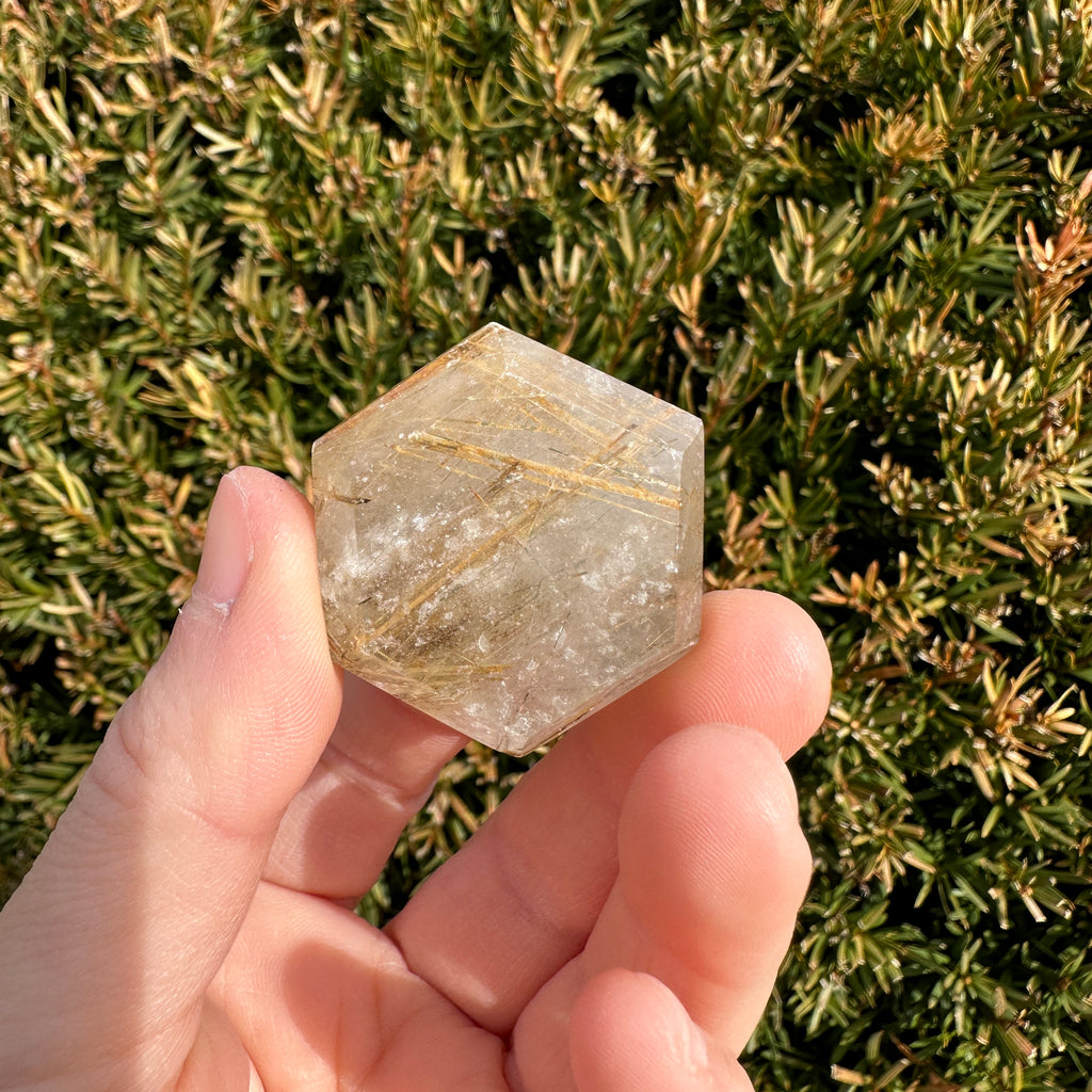 Gold Rutile Quartz Hexagon