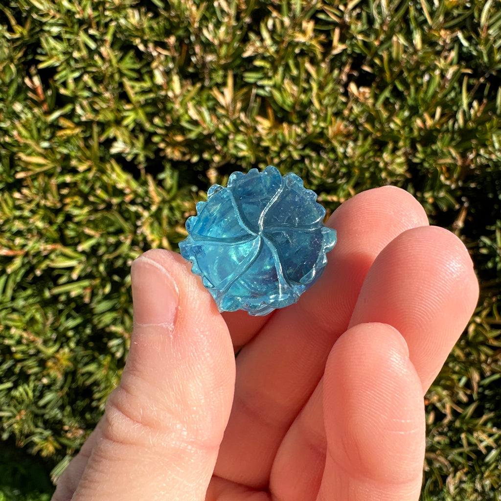 Aquamarine Rose