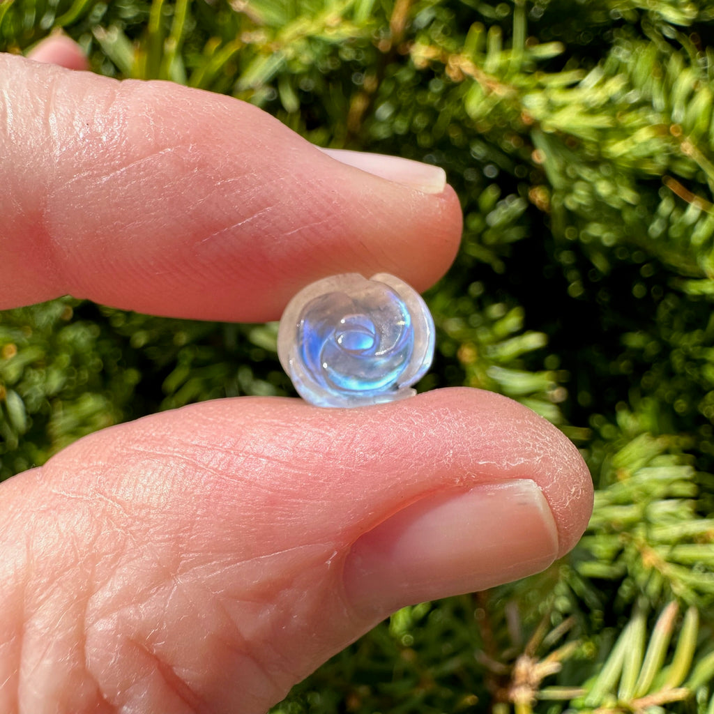 Rainbow Moonstone Rose