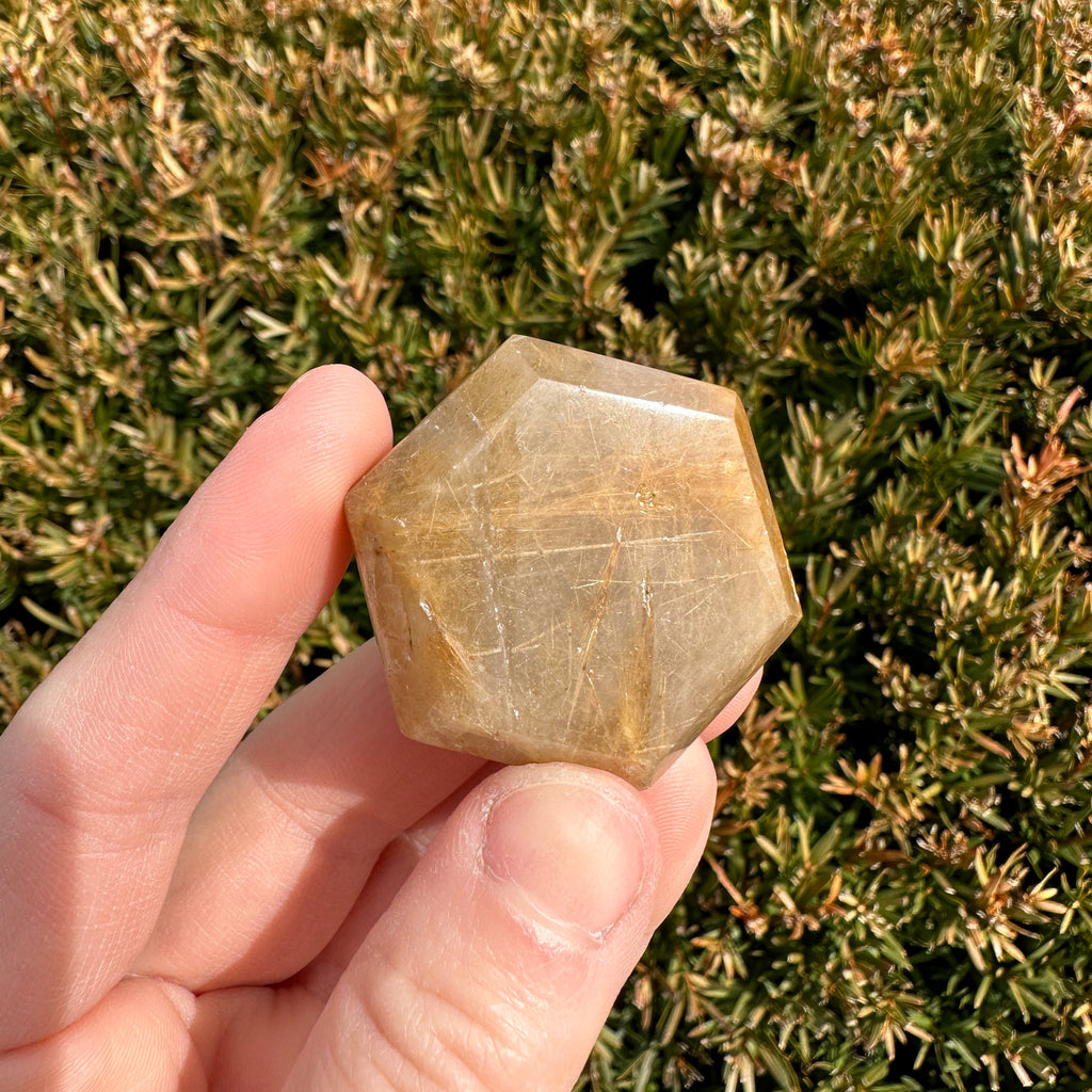 Gold Rutile Quartz Hexagon