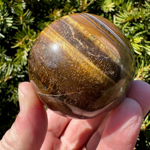 Tiger's Eye Sphere